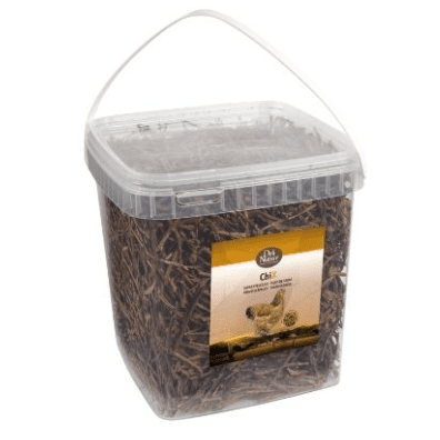 where does wild tobacco grow Tobacco in Virginia