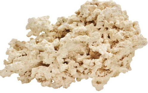 Coral Rock (Dry)