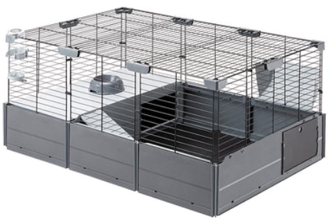 Guinea Pig Cages