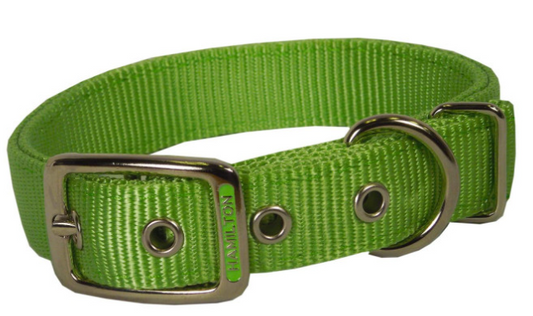 Dog Collars & Harnesses
