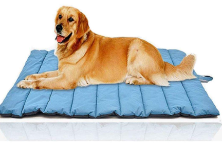 Waterproof Dog Beds