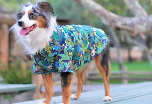 Summer Dog Clothes