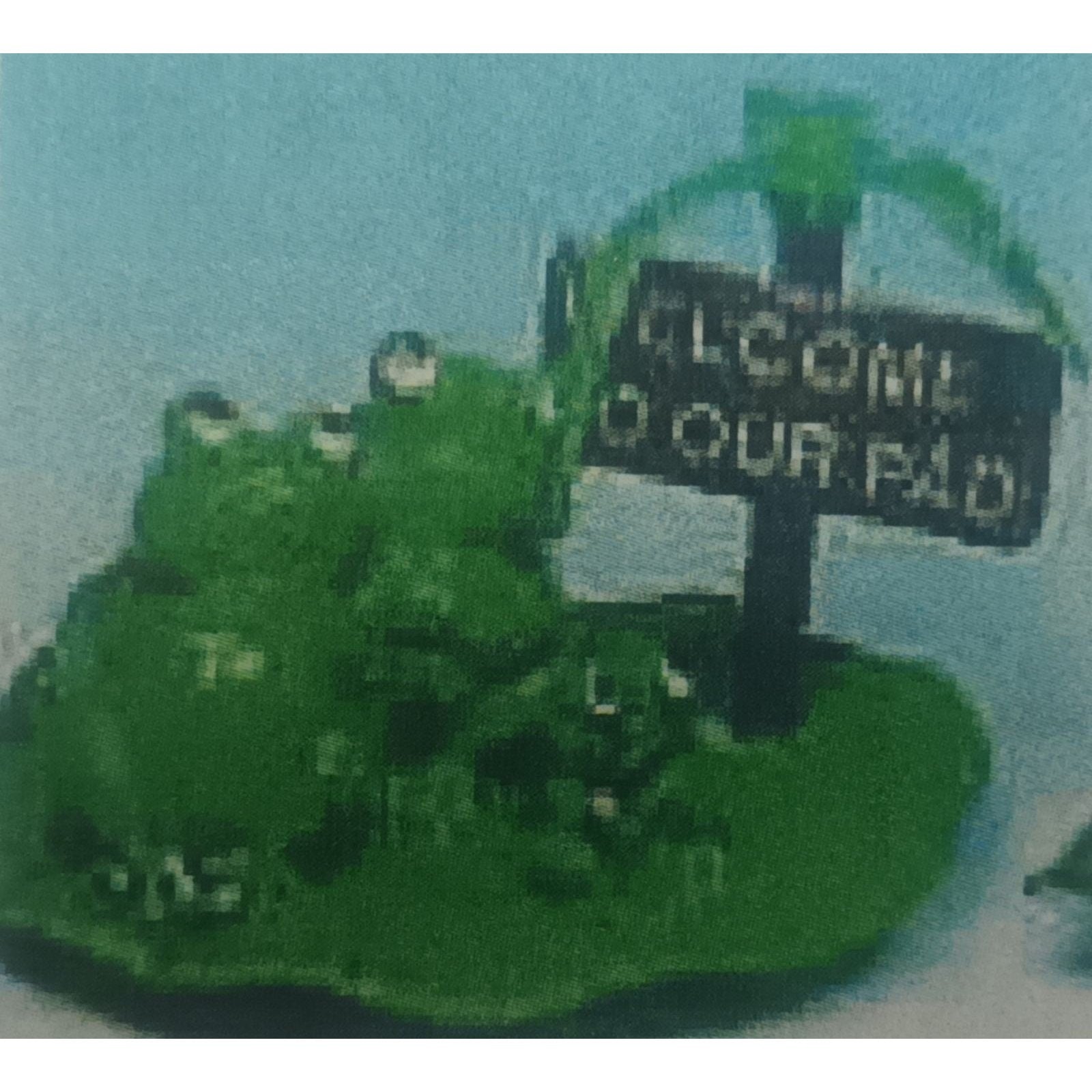 Frog Family Decor 1251