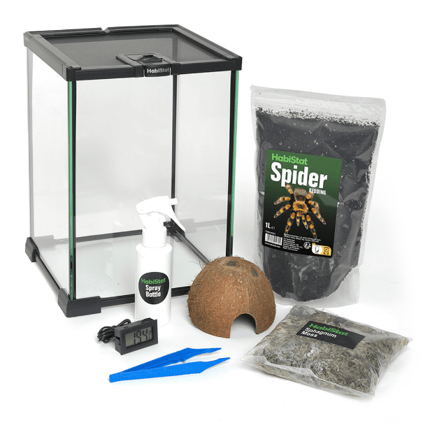 Habistat Invertebrate Starter Kit