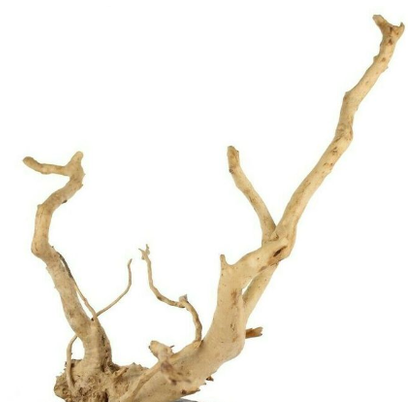 Spider Root Aquarium/Terrarium Natural Decor 635gr