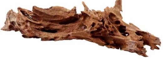 Driftwood 19-23cm