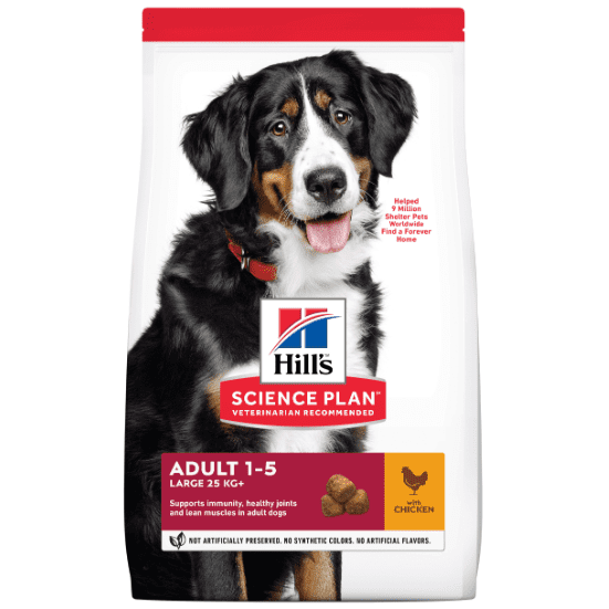 Hills Science Plan Canine Adult Large Breed Chicken 14kg