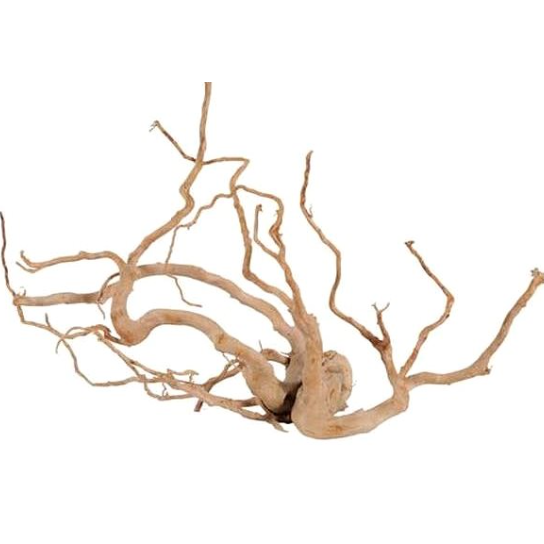 Spider Root Aquarium/Terrarium Natural Decor 590gr