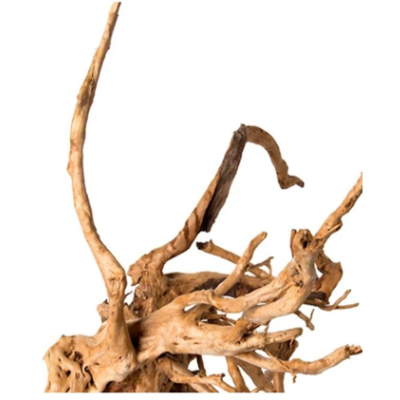 Spider Root Aquarium/Terrarium Natural Decor 2.1kg