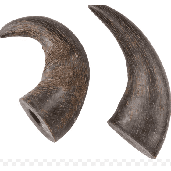 Buffalo Horn Small 2pcs