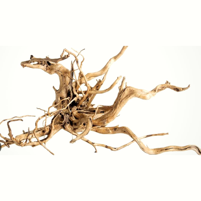 Spider Root Aquarium/Terrarium Natural Decor 1.37kg