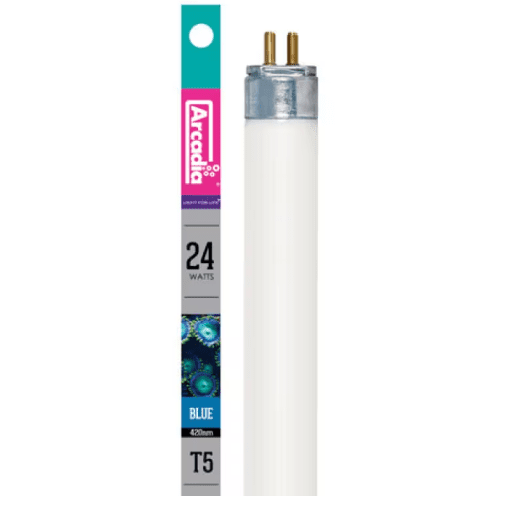Arcadia T5 Marine Blue Actinic 24W - 550mm