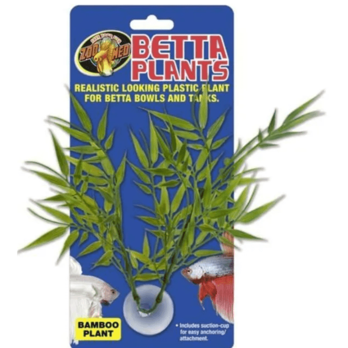 Betta Plant - Bamboo