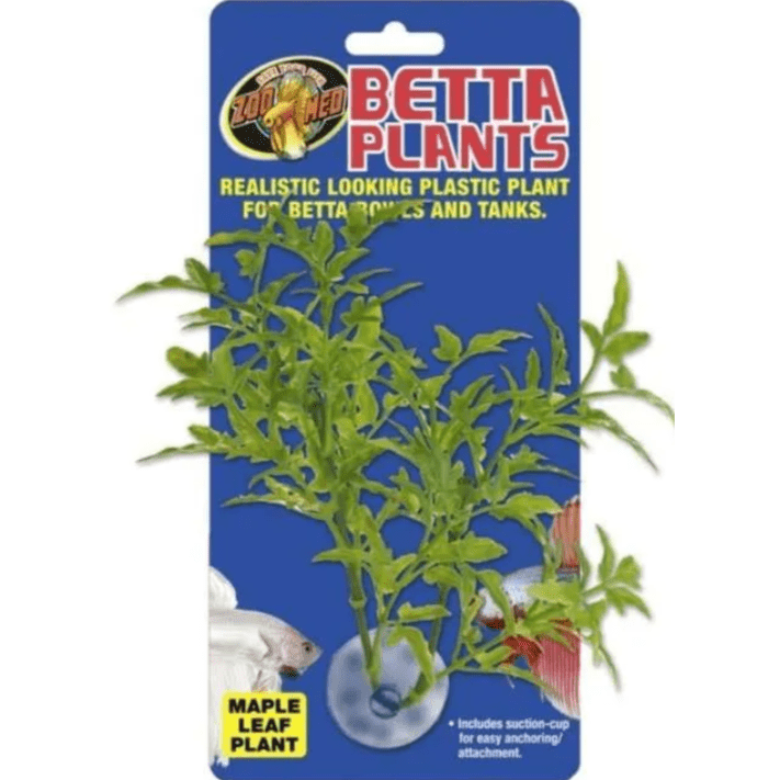 Betta Plant-Maple Leaf