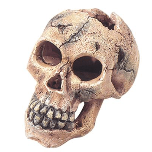 Skull S Decoration 11cm