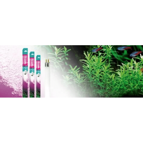 Arcadia Original Tropical Lamp T5