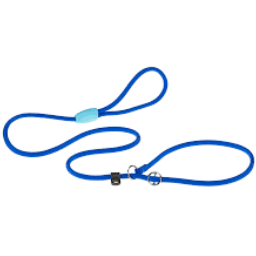 Sport GC13/170 Blue Leash