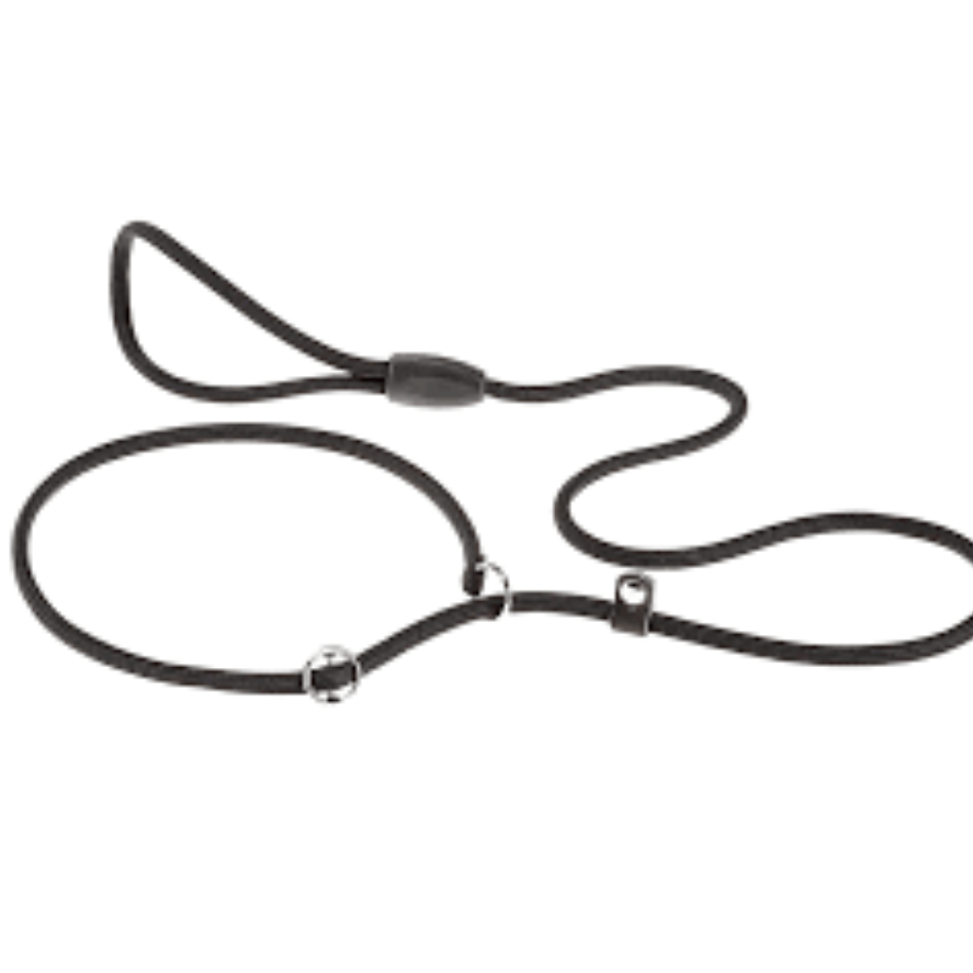 Sport GC8/160 Black Leash