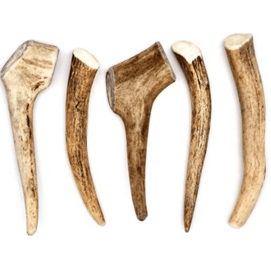Wild Red Deer Antler L 85-125gr