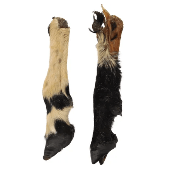 Flamingo Natures Snack Sheep Foot with Hair 2pcs