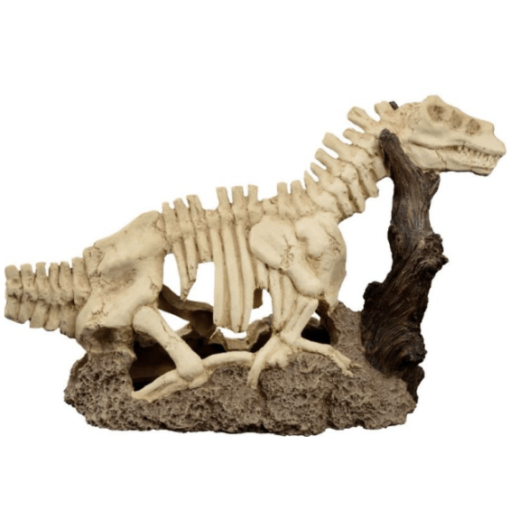 Tyrannosaurus Rex on Rock & Root Decor 27x11.5x17.5cm
