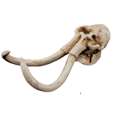 Mammoth Skull Decor 16x10.5x13.5cm