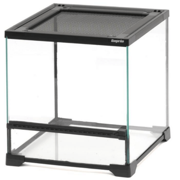 GianGarden Terrarium 30.8x30.8x32cm