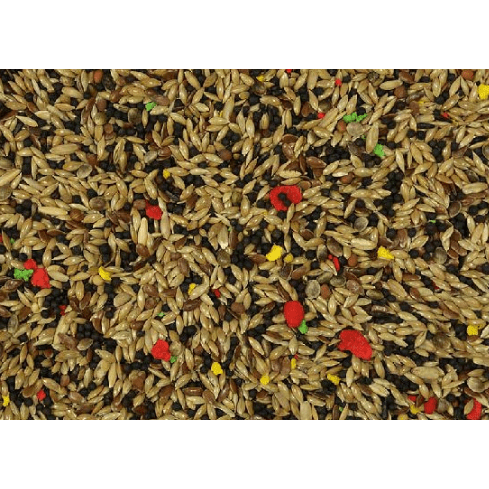 Vinci Canary Food 20kg