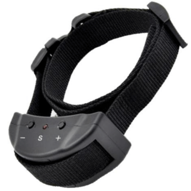 No Bark Collar