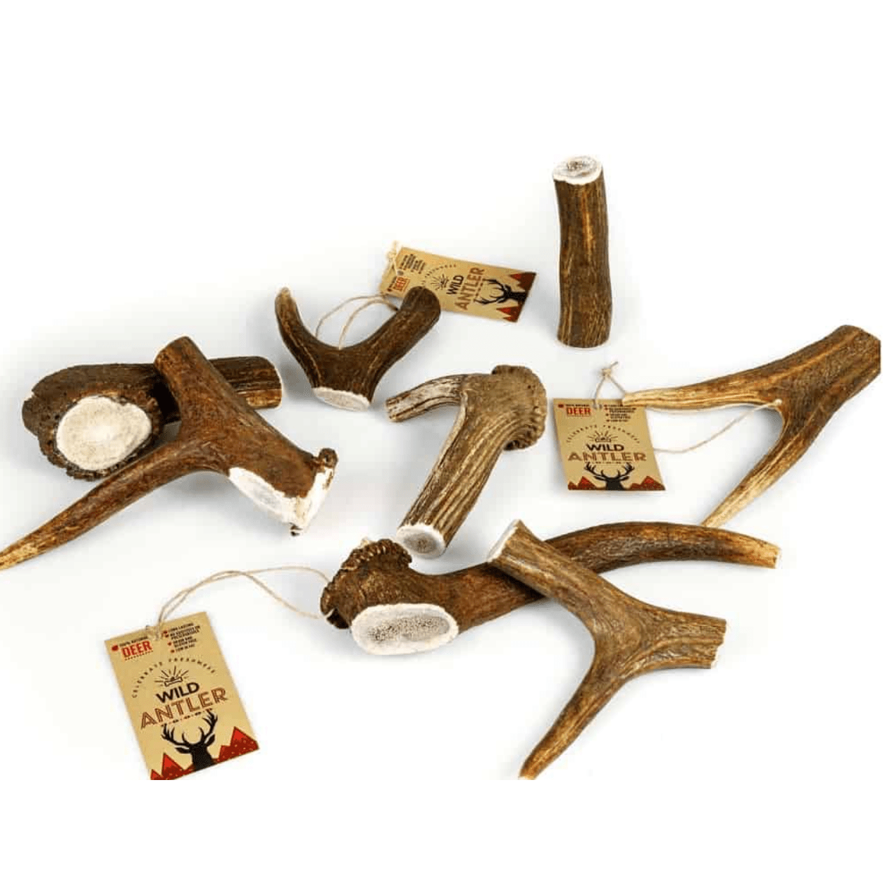 Wild Red Deer Antler Giant 210gr