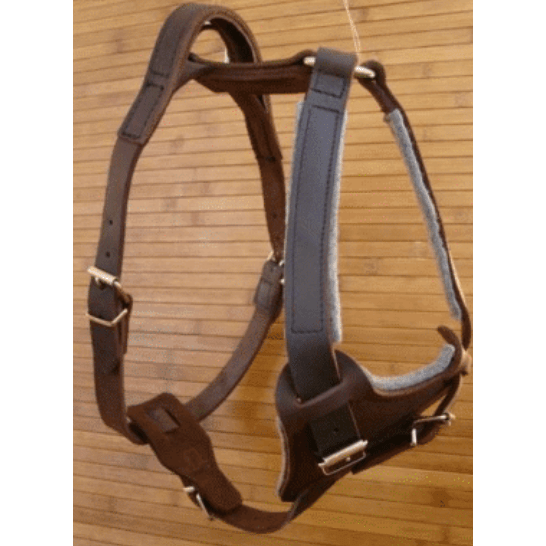 Oiled Leather Harness with Handle 25mm / 85cm