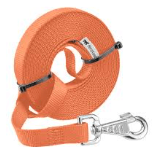Club G20/500 Orange Leash