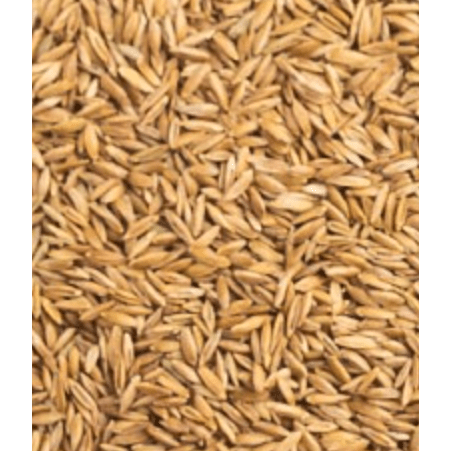 Pet Cup Fonio Paddy Seeds 850gr