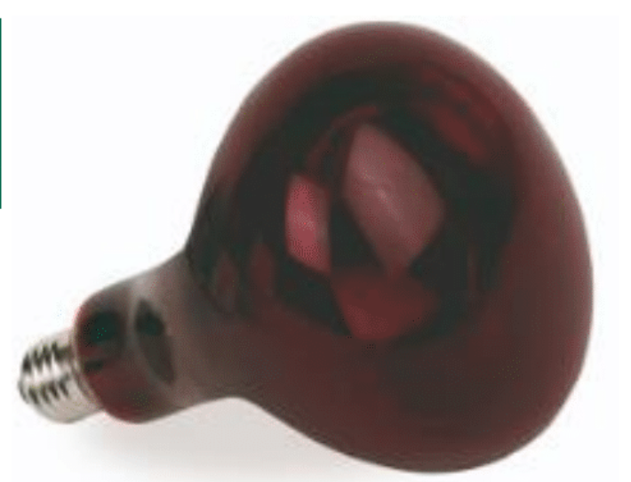Infrared Lamp 250w