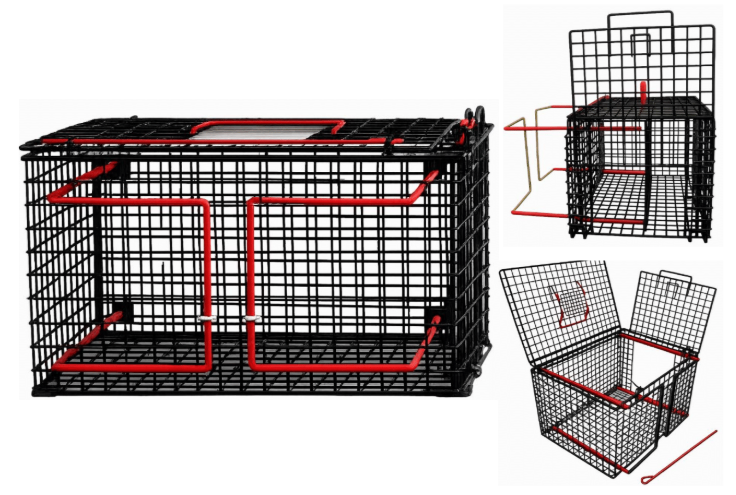 Push Cage