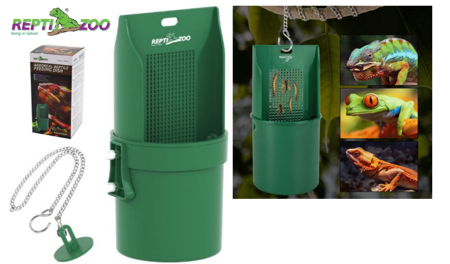 Arboreal Reptile feeding dish