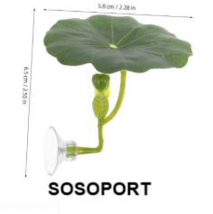 Betta Fish Rest Leaf Sosoport