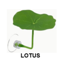 Betta Fish Rest Leaf Lotus