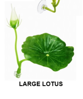 Betta Fish Rest Leaf Large Lotus