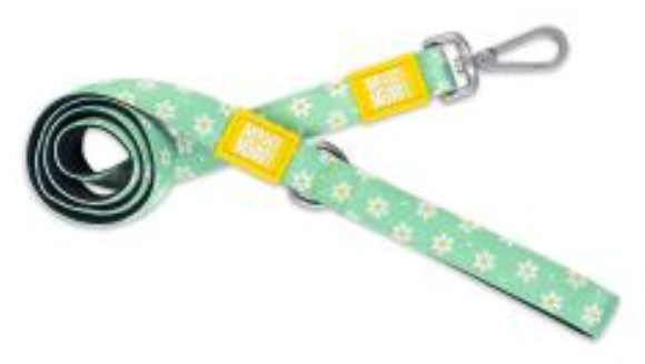 Max & Molly Short Leash Margarite XS