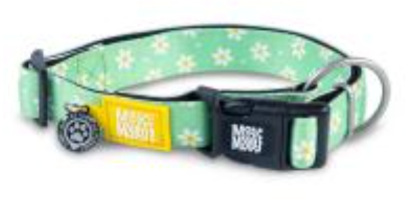 Max & Molly Smart ID Collar M