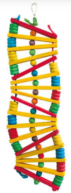 Funny Steps Bird Toy