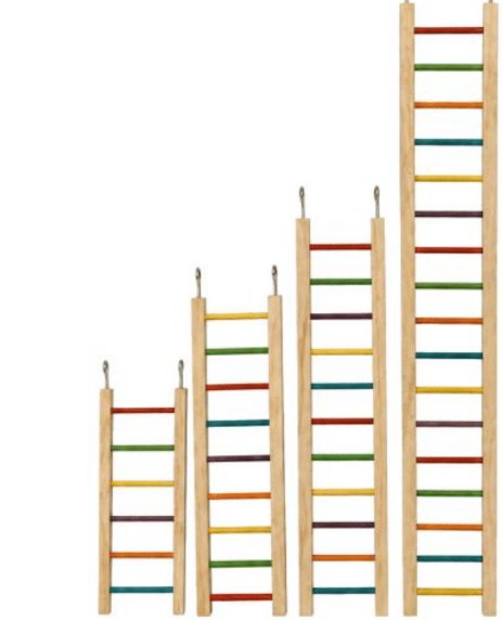 Happy Ladder Bird Toy Medium