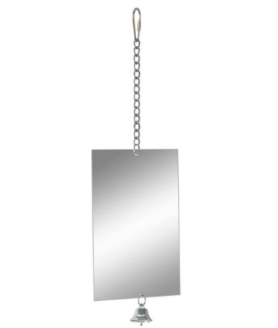 Parrot Square Mirror & Bell Bird Toy