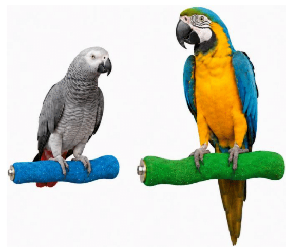 Calcium Super Perch for Parrots