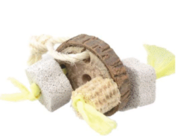 Dental Corny Rodent Toy