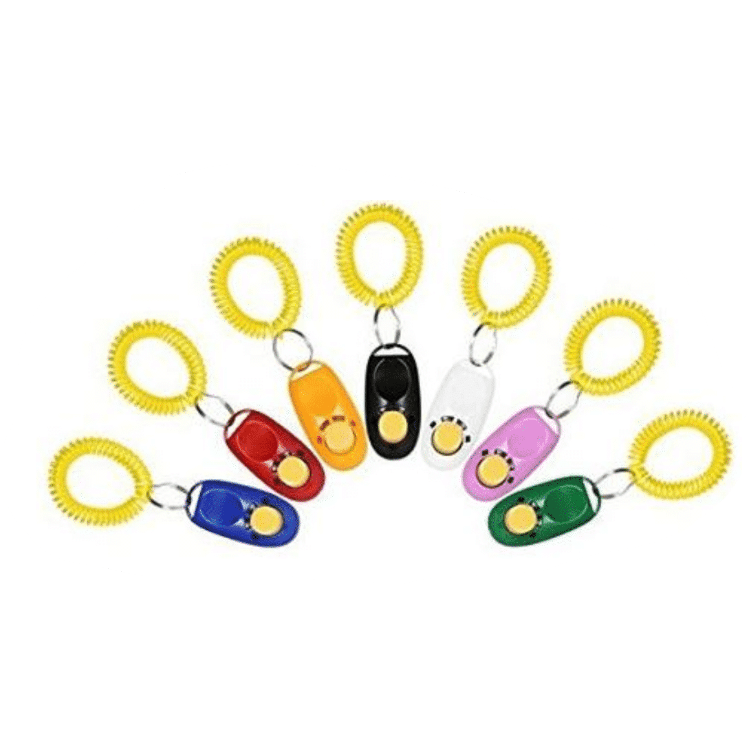 Parrot Training Clicker 13x3.5cm