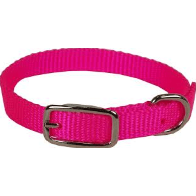 Hamilton Double Thick Nylon Deluxe Dog Collar Hot Pink 5/8 18