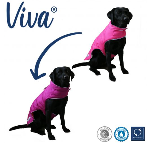 Ancol Viva Reversible Waterproof Coat Purple / Hi-Vis 35cm S/M