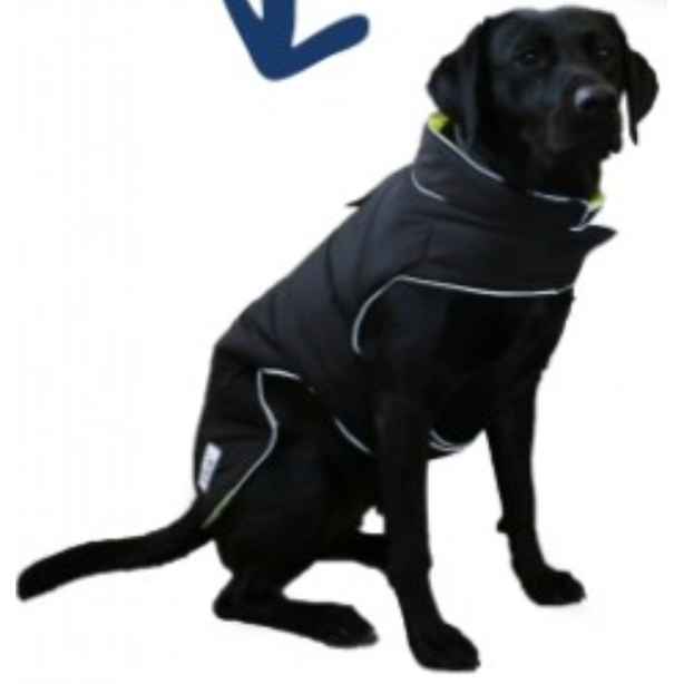 Ancol Viva Reversible Waterproof Coat Black / Hi-Vis 35cm S-M